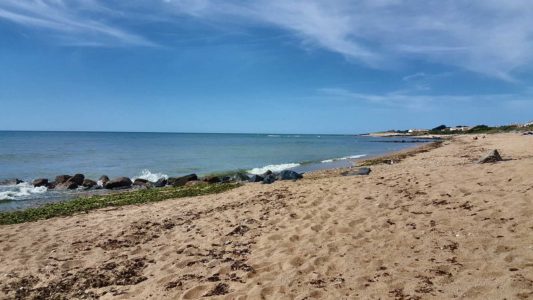 Plage_cotiniere